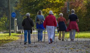 Blick von Hinten. Eine Gruppe älterer Frauen aktiv beim Nordic Walking auf einem Weg. Am Tag; herbstliche Verhältnisse.