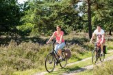 Fahrradfahrer in der Heide Radfahrer