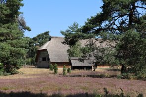 Schafstall Heidschnuckenherde