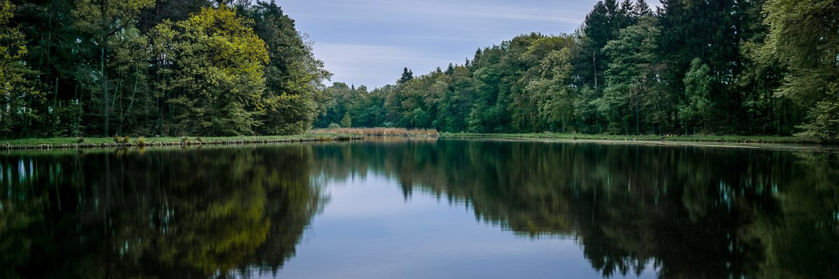 Stichter See Stichter See