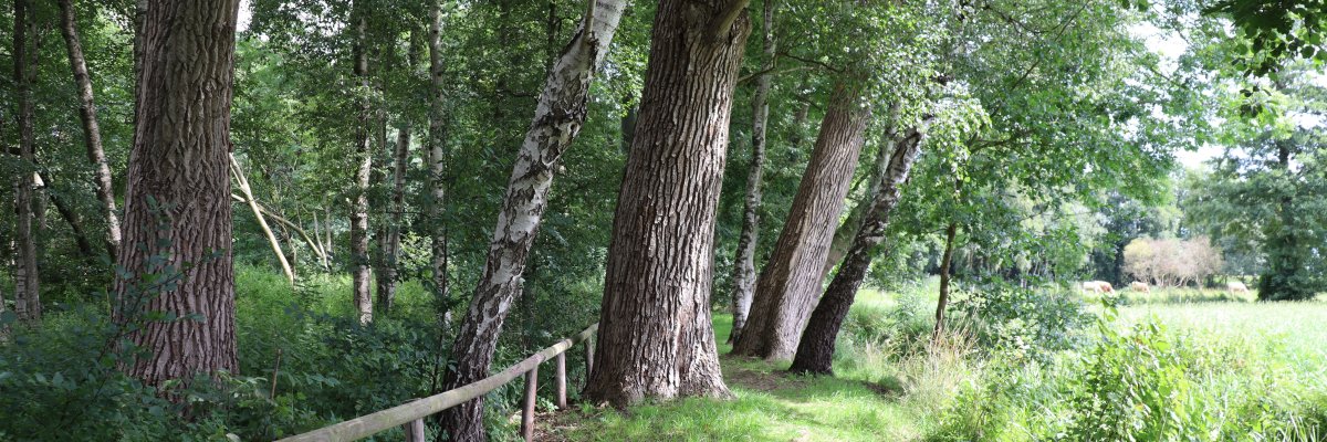 Wanderweg Tewel