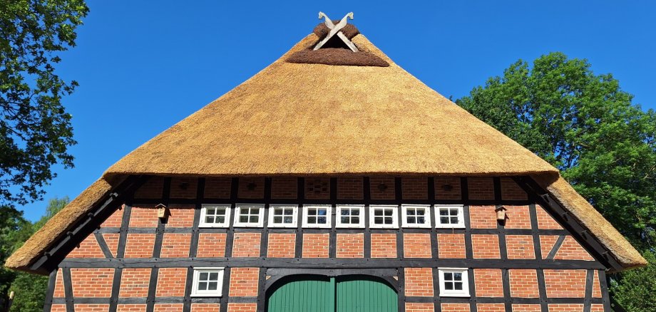 Frontansicht Vierständerhaus neues Reet Frontansicht Vierständerhaus neues Reet