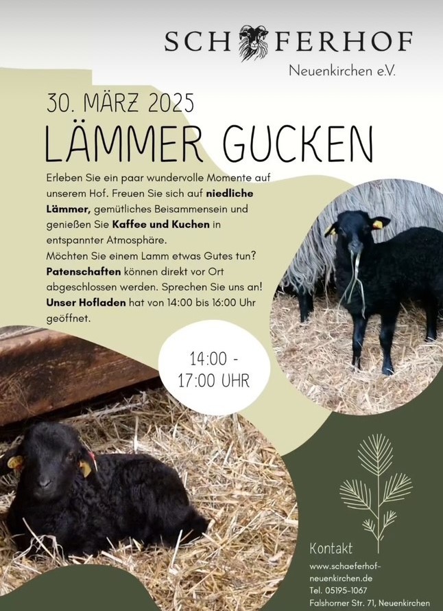 Lämmer Gucken Plakat Lämmer Gucken Plakat