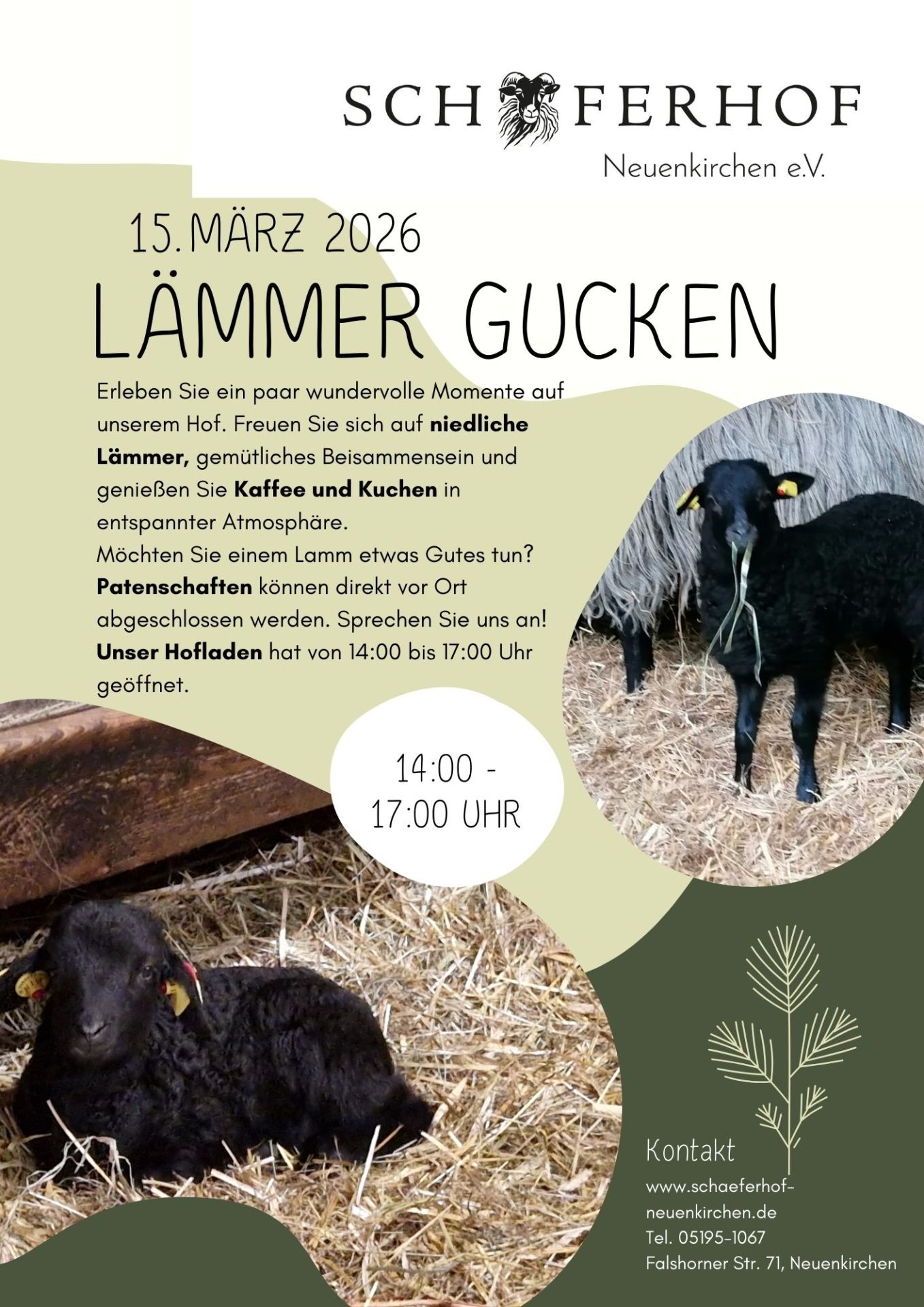 Lämmer gucken 2026 - Plakat Lämmer gucken 2026 - Plakat