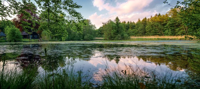 Teich in Rutenmühle Idyllischer Teich in Rutenmühle