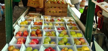 Ein Stand mit vielen verschiedenen Apfelsorten