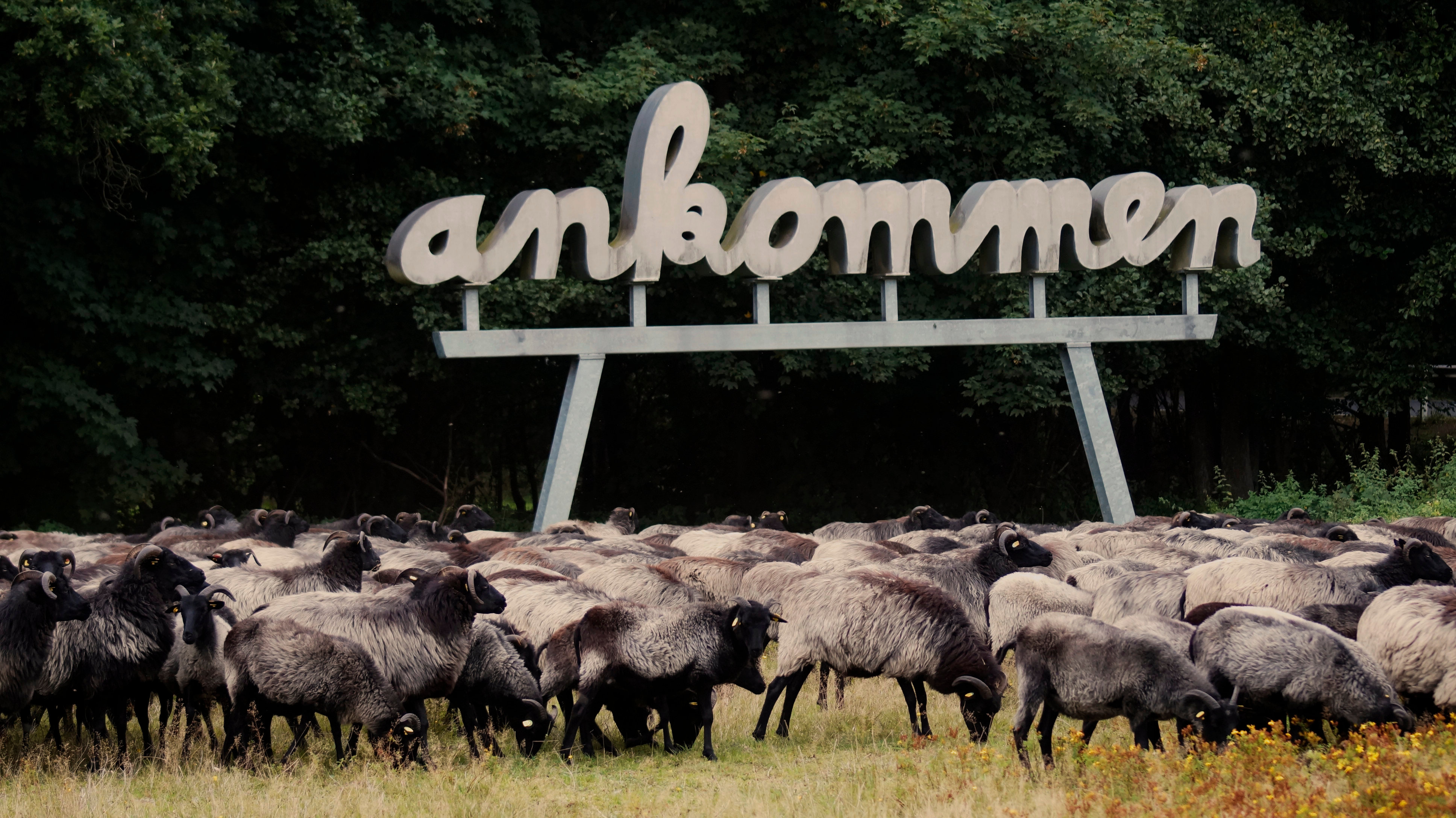 Ankommen Das Kunstwerk Ankommen in Neuenkirchen