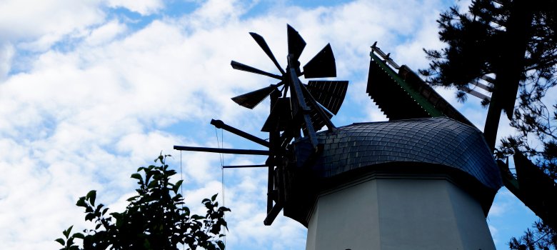 Mühlenkopf der Sprengeler Mühle Mühlenkopf