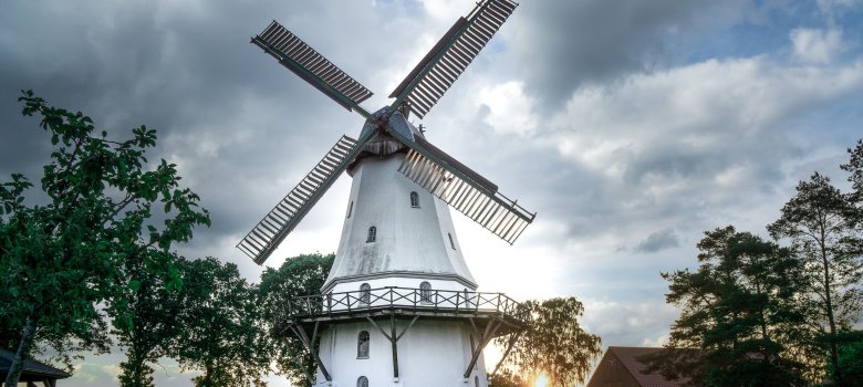 Sprengeler Windmühle im Abendlicht Sonnenuntergang hinter der Sprengeler Mühle